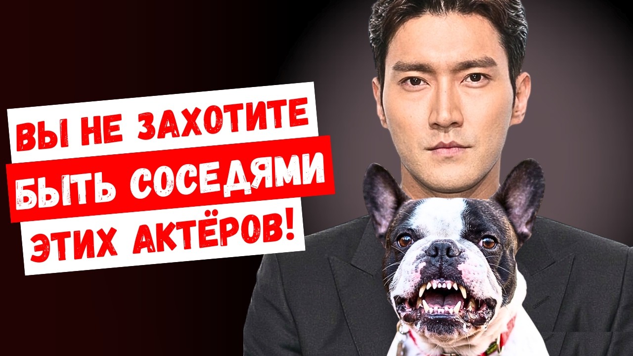 Каково на самом деле жить рядом с корейскими звёздами? Рассказывают соседи
