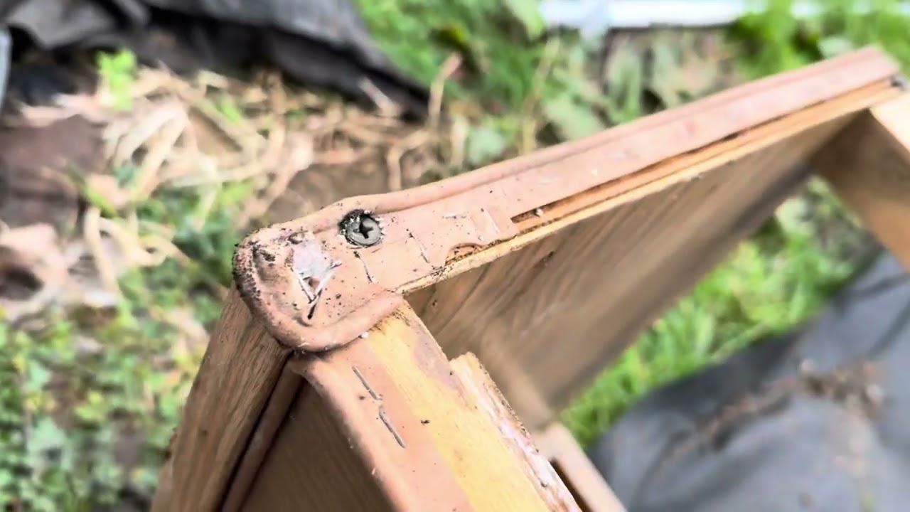 Diy chicken coop