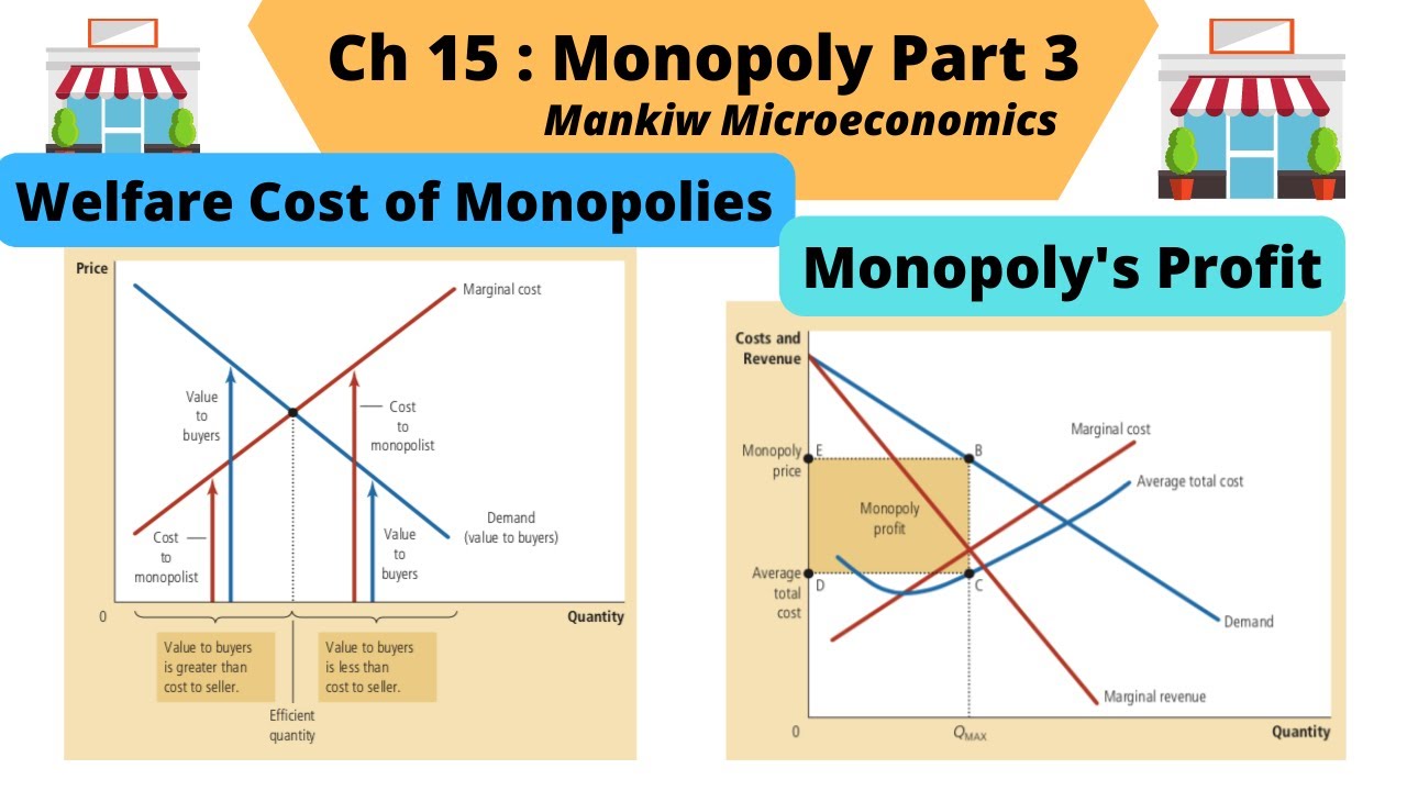 Profits of Monopolist| Welfare Cost of Monopolies | Consumer & Producer Surplus| Mankiw Ch 15 P3