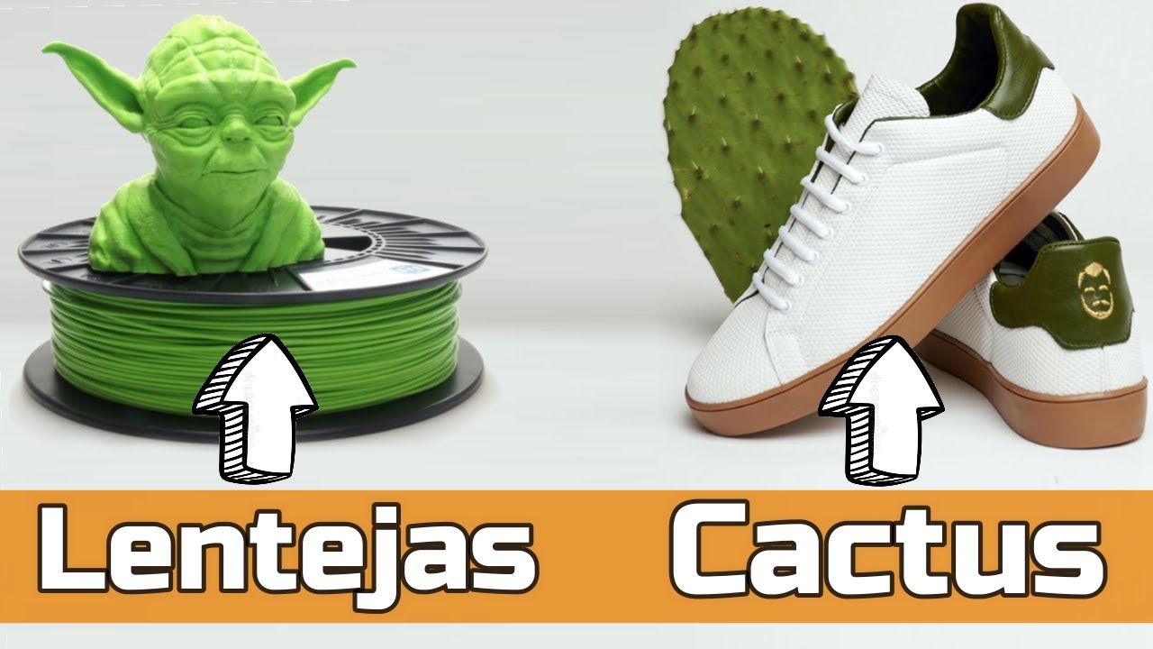 Plástico de Cactus | 5 Emprendedores Latinoamericanos