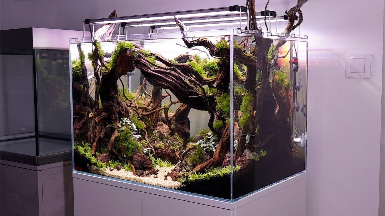 Eheim Proxima Scape : un combiné meuble - aquarium dédié à l'aquascaping