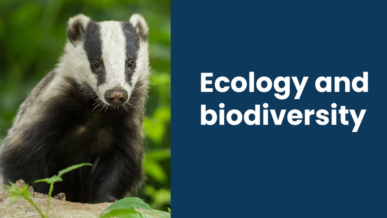 Ecology and biodiversity at construction sites