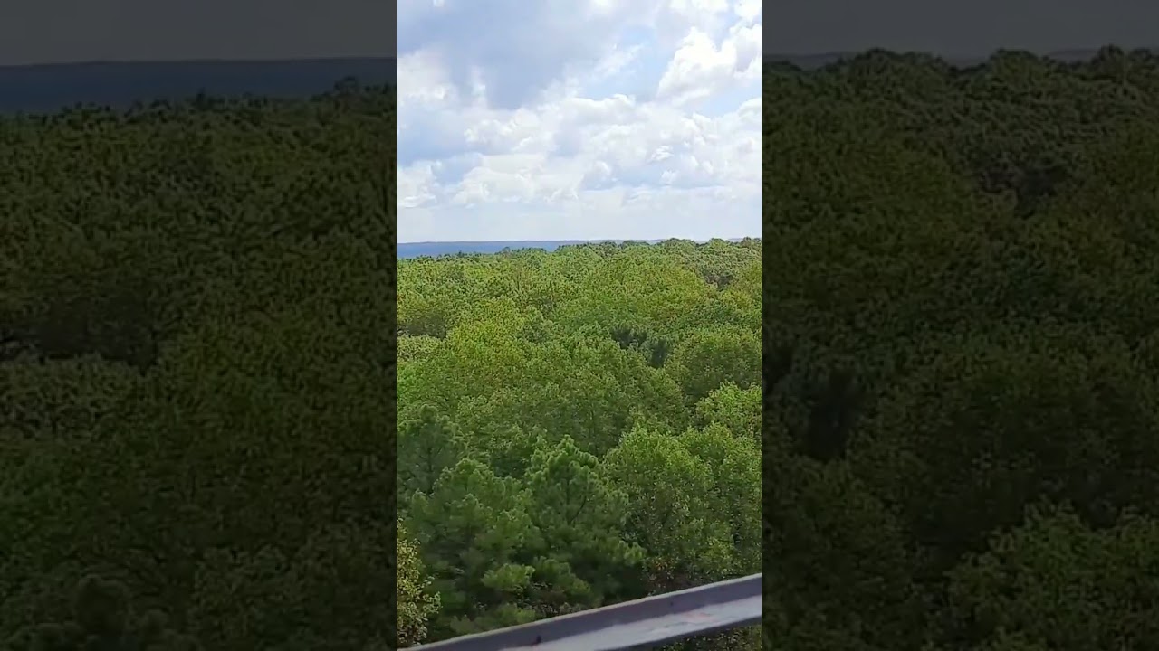 360&deg; view from atop the Hickory Ridge Firetower!