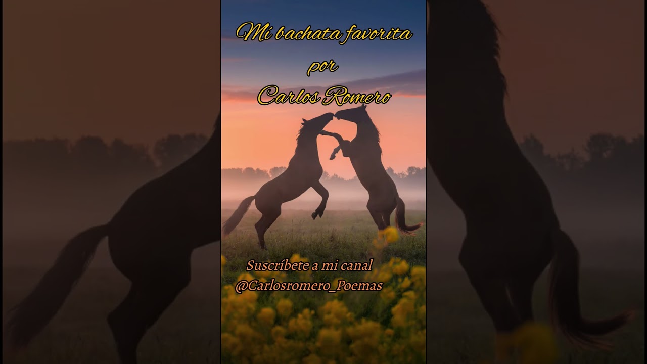 🎼 Mí bachata
