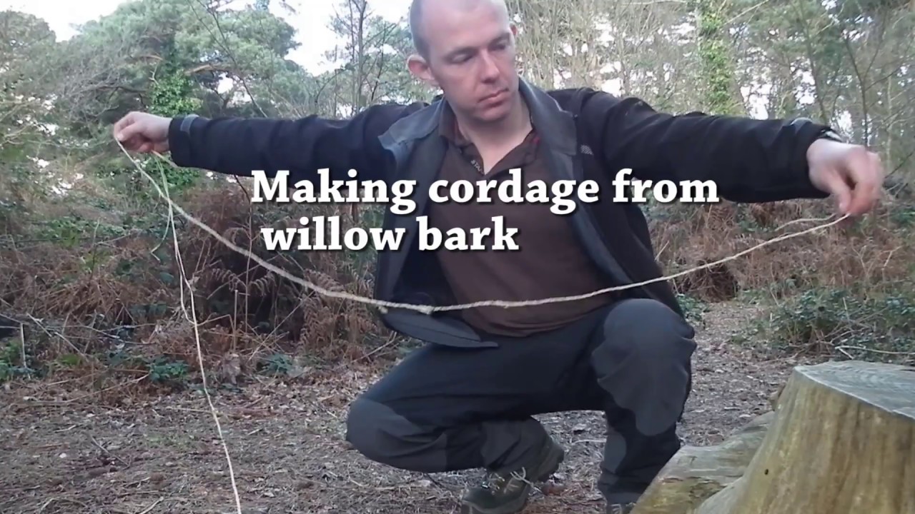 making cordage from willow bark -reverse rapped