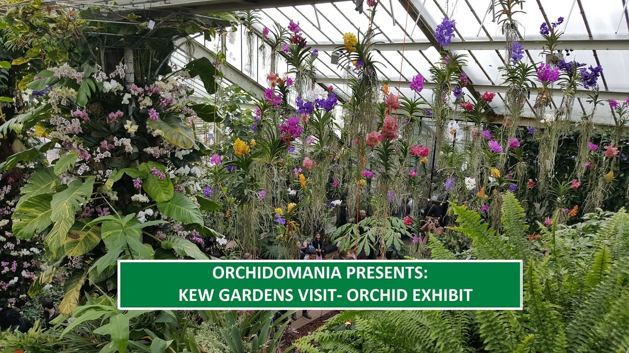 Orchidomania Presents: Kew Gardens & Orchid Exhibit