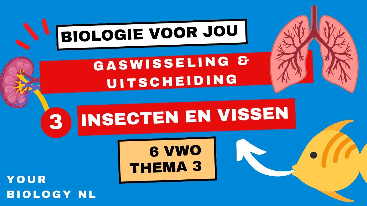 6 vwo | Gaswisseling & Uitscheiding | 3 | Gaswisseling III: Insecten & Vissen