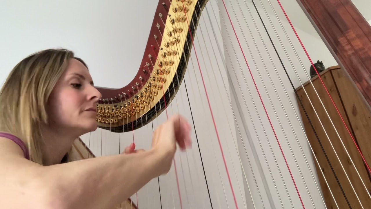 Sting - Shape of my Herart - harp