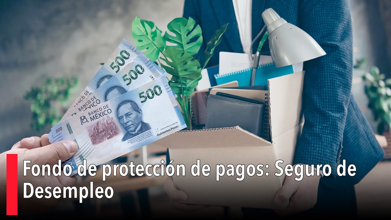 Fondo de protección de pagos: Seguro de Desempleo