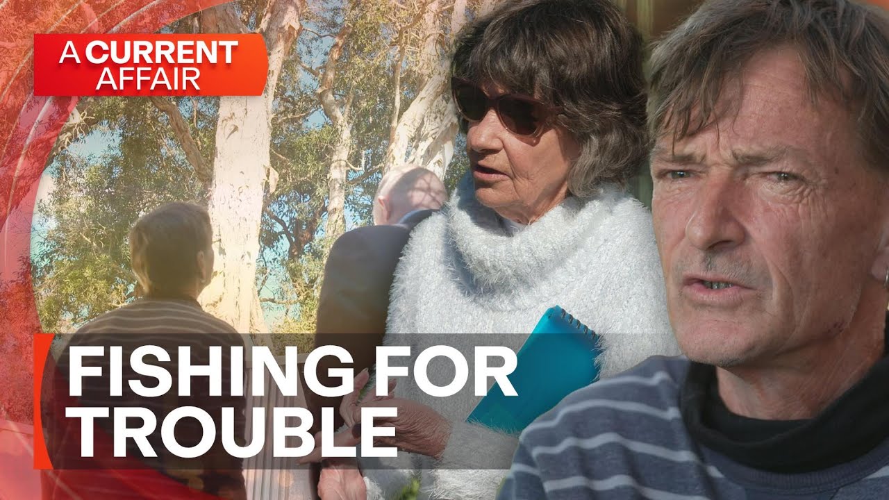 A neighbourhood war over more than just a tree | A Current Affair