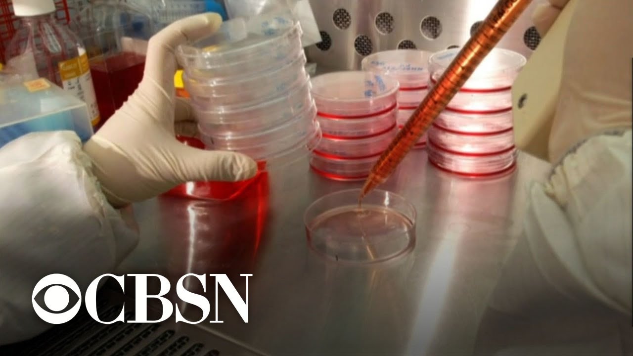 Study: Immune system may never forget mild COVID-19 infection