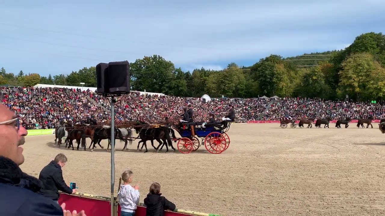 100 Jähriges Jubiläum HuLG Marbach Zehnerzüge in Aktion