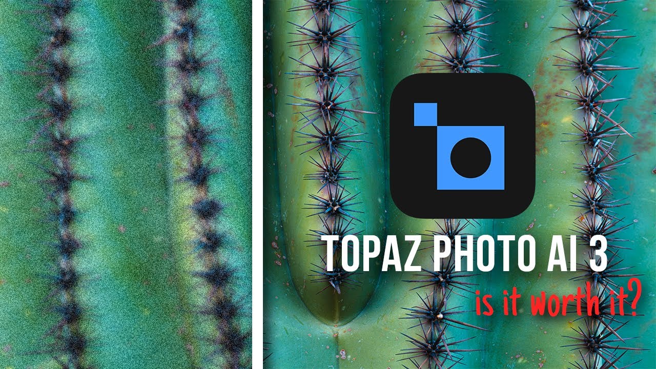 Обзор Topaz Photo AI 3 — стоит ли оно того?