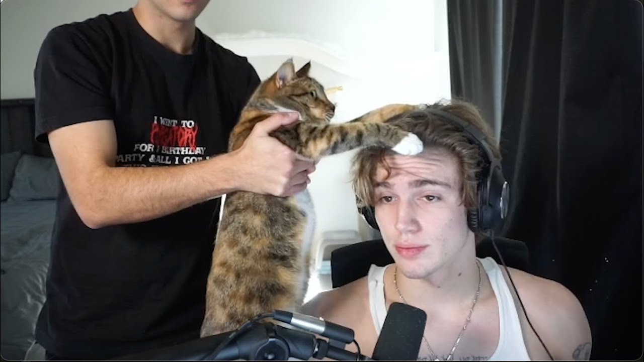 getting used to my setup again | Vinnie Hacker stream summary 3 jan 2022