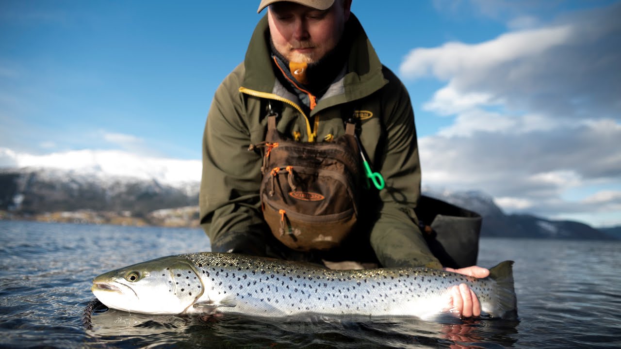 VEIG EP1: Sea trout