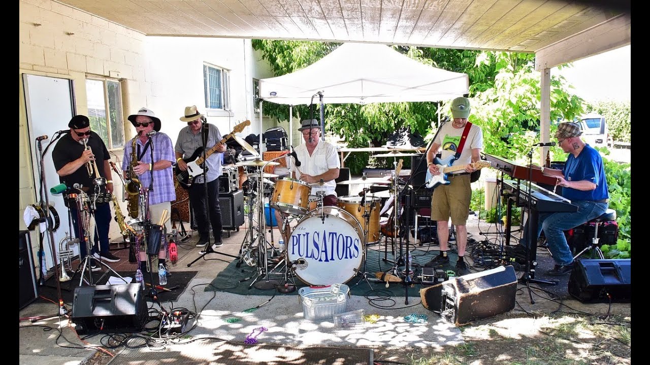 The Pulsators: 2019 Big Valley Music Fest, Set 1