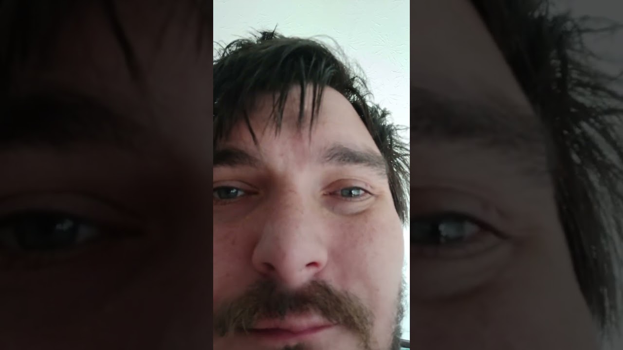 harbor wild berry gummies ( food reviews/ my life)