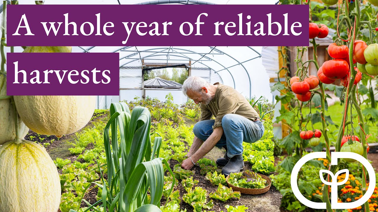 Polytunnel options for winter and summer vegetables