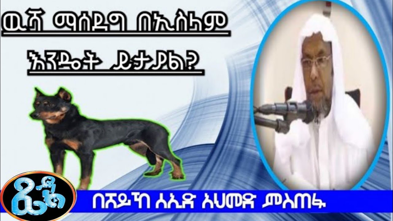አልፈትዋ || ዉሻ ማሰደግ በኢስላም እንዴት ይታያል? ሸይኸ ሰኢድ አህመድ ምስጠፋ