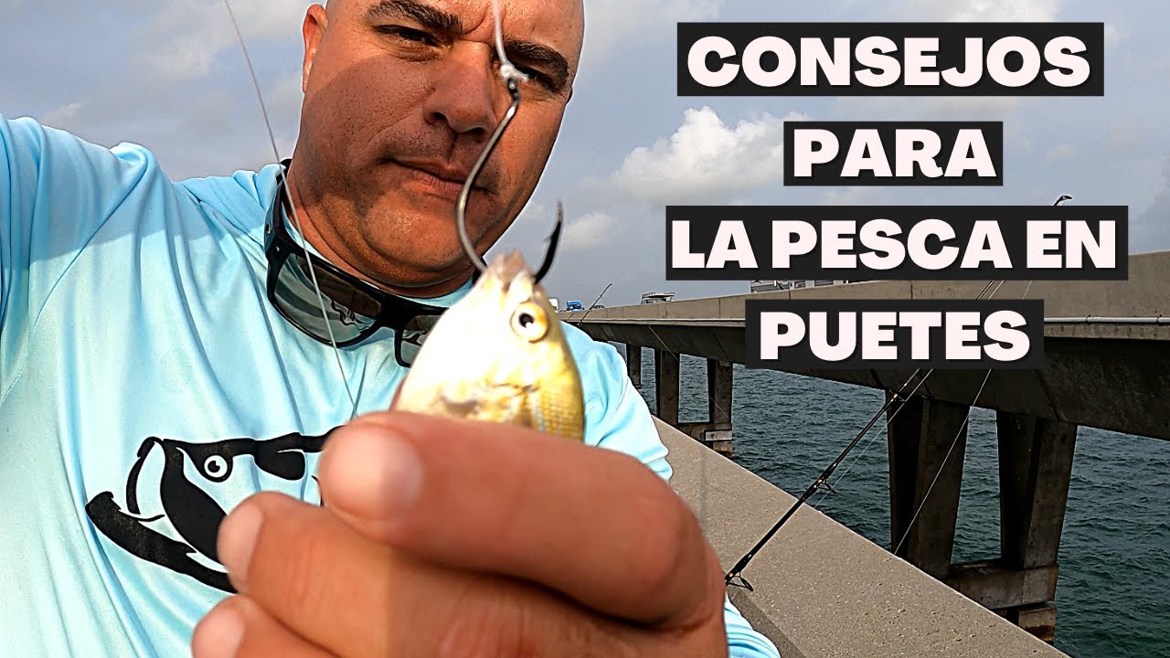 Consejo para la pesca en Puentes, Como preparar para pescar con vivo, Como tirar con leader largo!