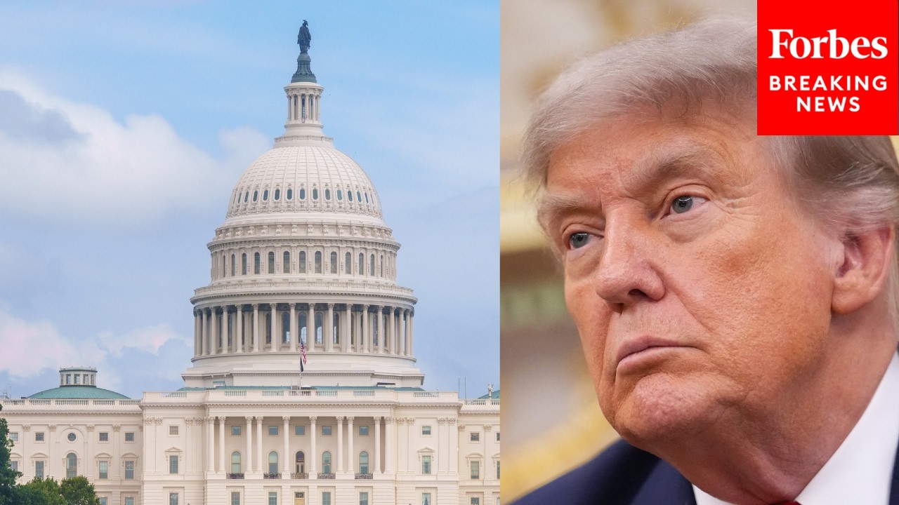 Юрист о посте Трампа по вопросу &laquo;права почвы&raquo;: президент перекладывает ответственность на Конгресс