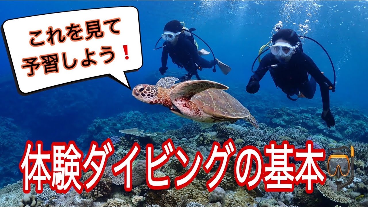 【体験ダイビング説明】ダイビングの基本を徹底解説！