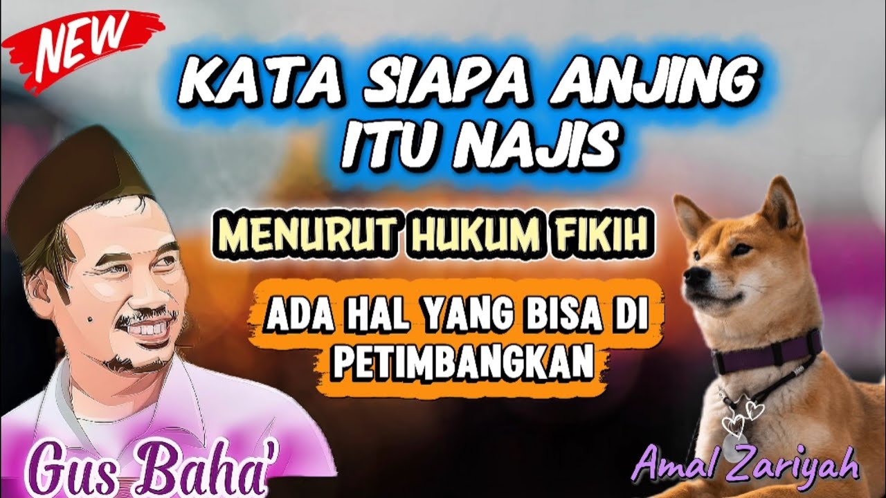hukum fikih ada hal yang perlu di pertimbangkan tentang hukum anjing || @amalzariyah-t7w Gus baha