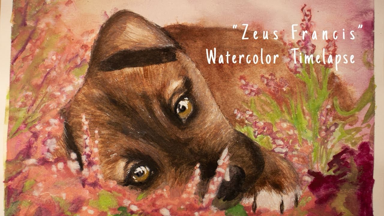 Zeus Francis - Watercolor Pet Portrait