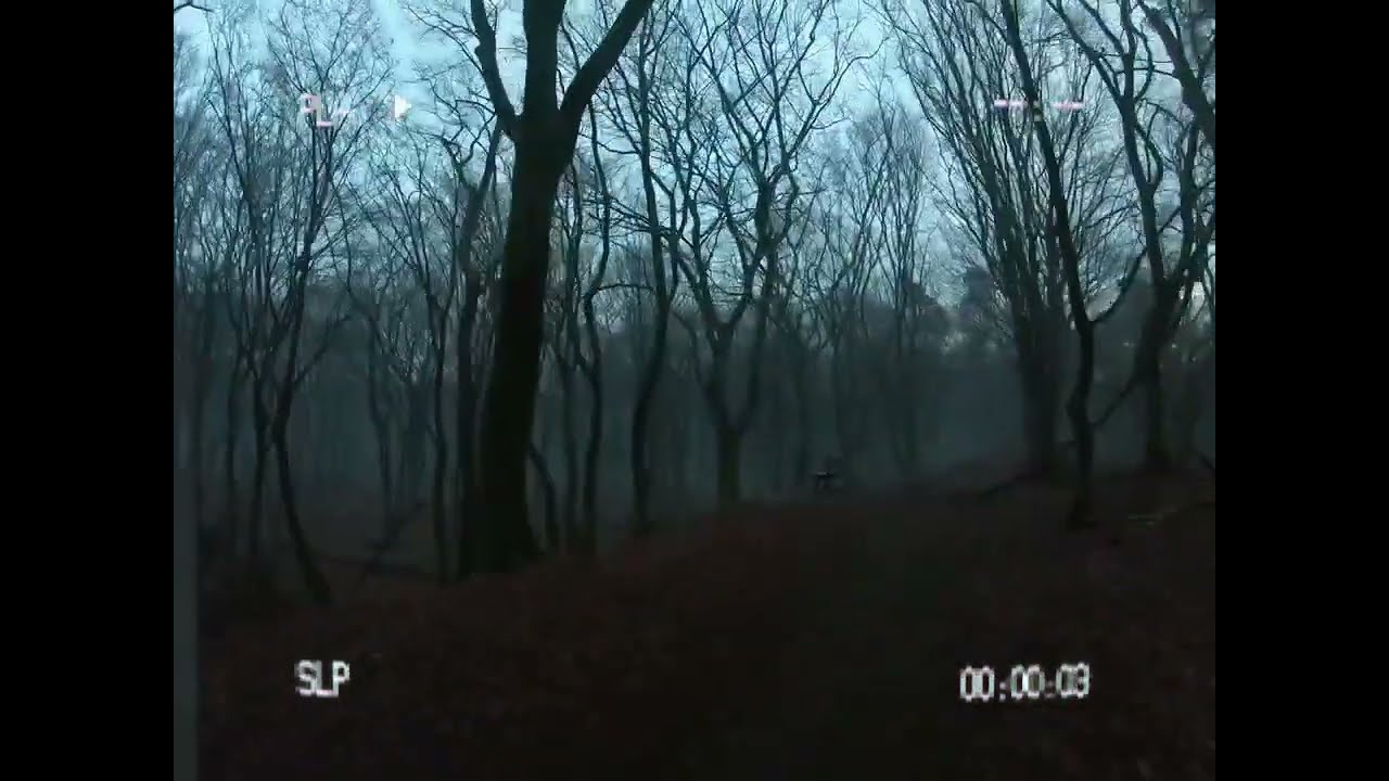 Ohio Woodlands Found Footage