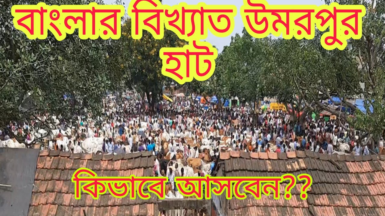 বাংলার বিখ্যাত উমরপুর হাট ।। Umarpur Hat Murshidabad