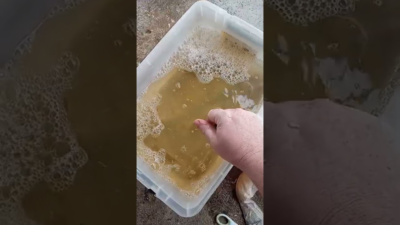 AAR TAXIDERMY: Washing Process