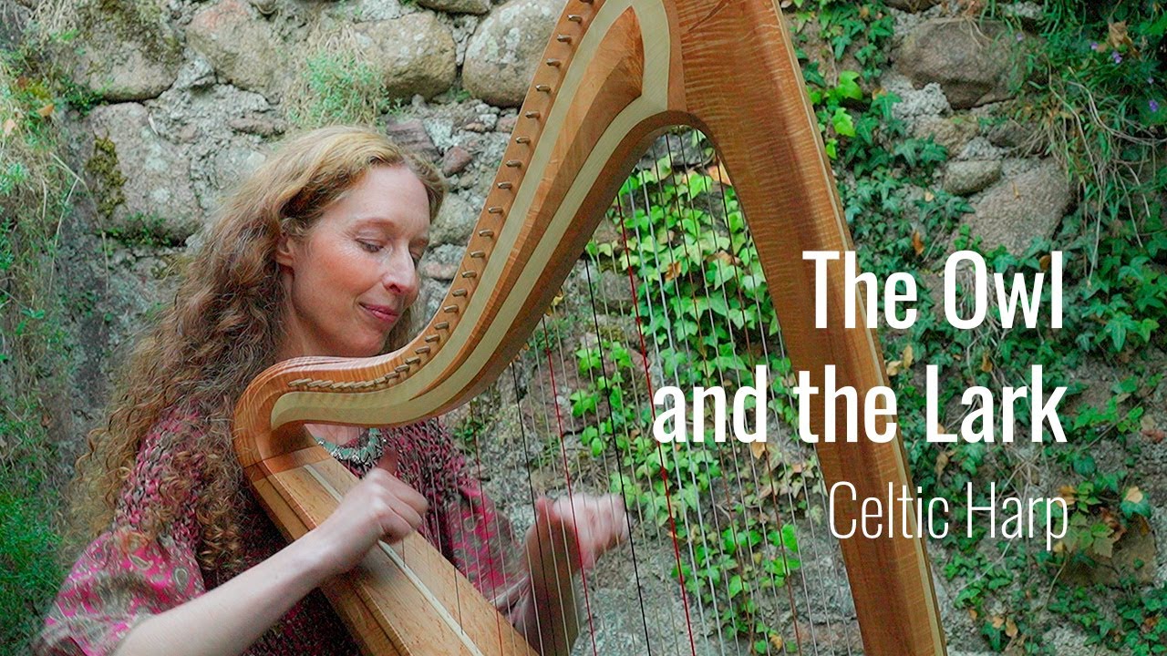 Celtic Harp Duo - Die Eule und die Lerche (The Owl and the Lark)