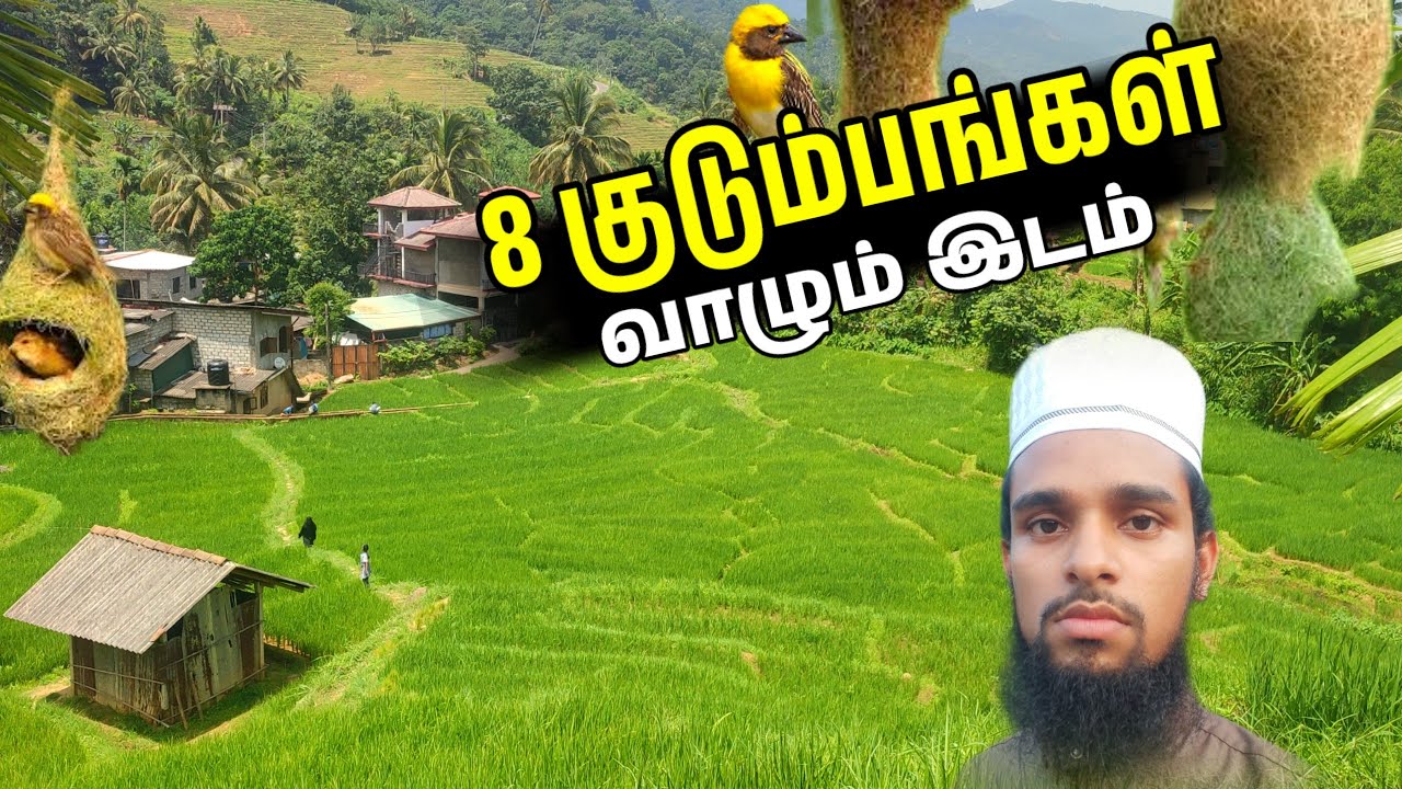 Udispattuwa | Sri Lanka | Beautiful place | Tamil | An Vlogs