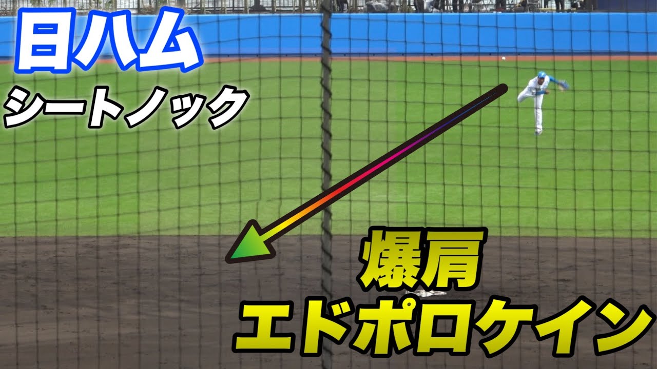 【今年こそは日本シリーズへ！！】新人 エドポロケイン 大塚など新戦力も見どころ日ハムのシートノック！！