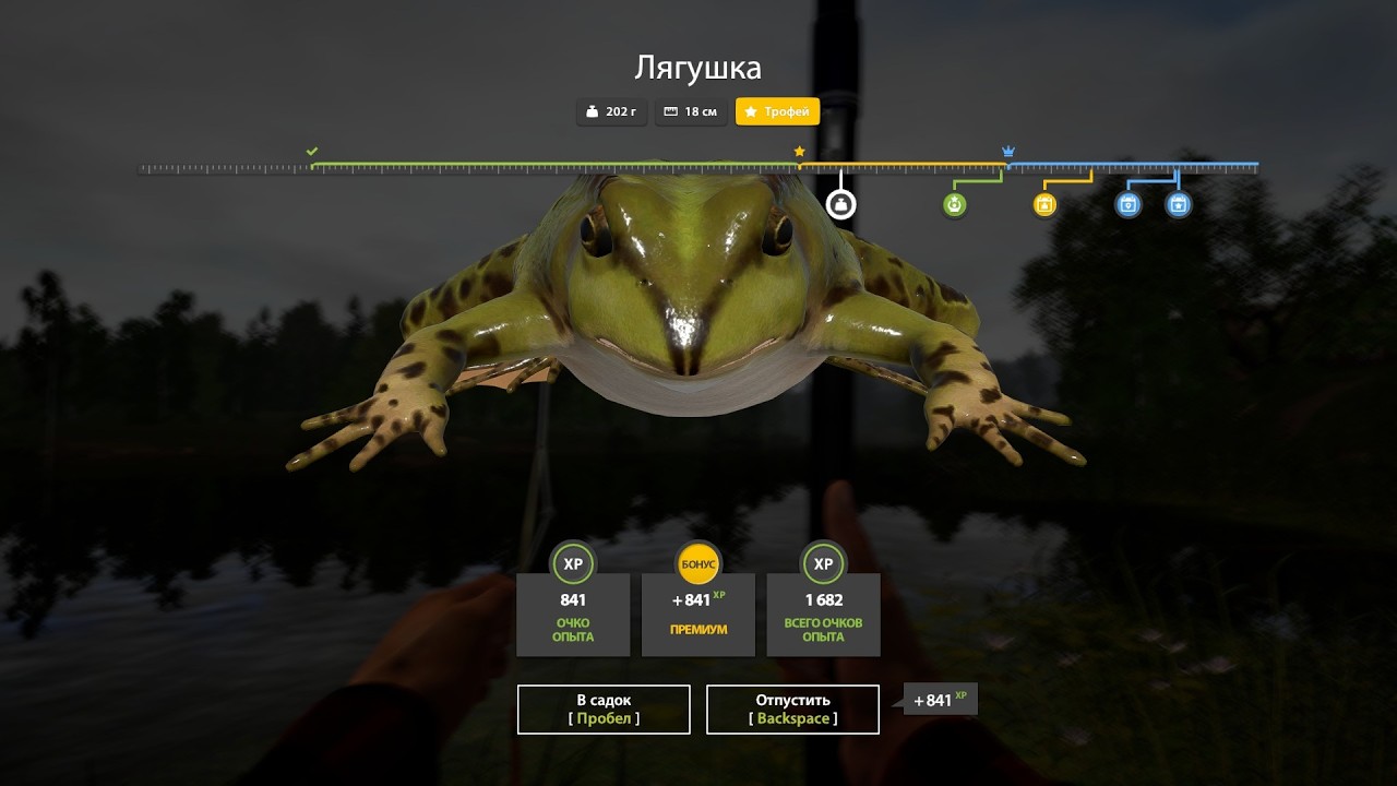 Russian Fishing 4 Клёвые места. Трофейная Лягушка 🐸. Оз. Комариное.