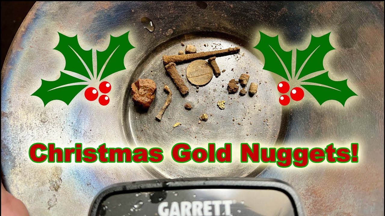🎄Christmas Gold Nuggets! Metal Detecting California Motherlode with the Garrett Goldmaster 24k 💰