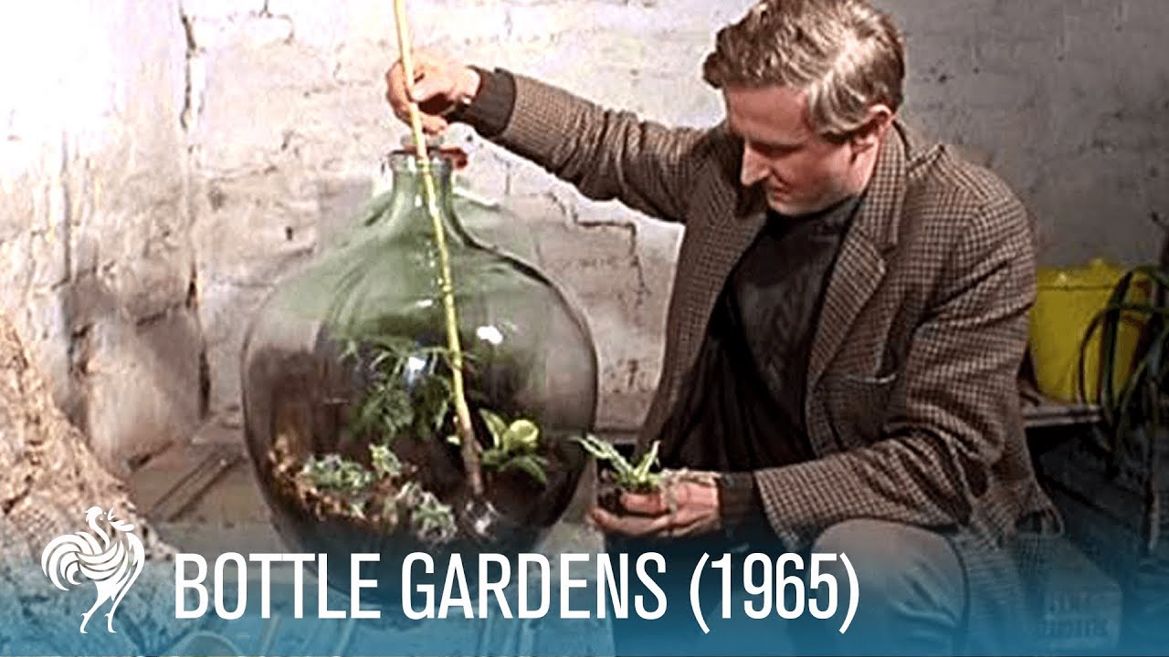 Bottle Gardens (1965) | British Pathé