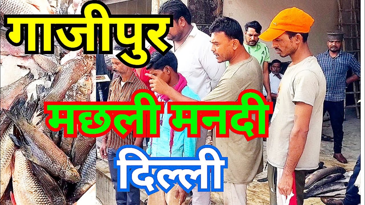 GHAZIPUR FISH MANDI AUCTION IN DELHI #GAGANVLOGSOFFICIAL #viralsvideo INDIA 🇮🇳🇮🇳
