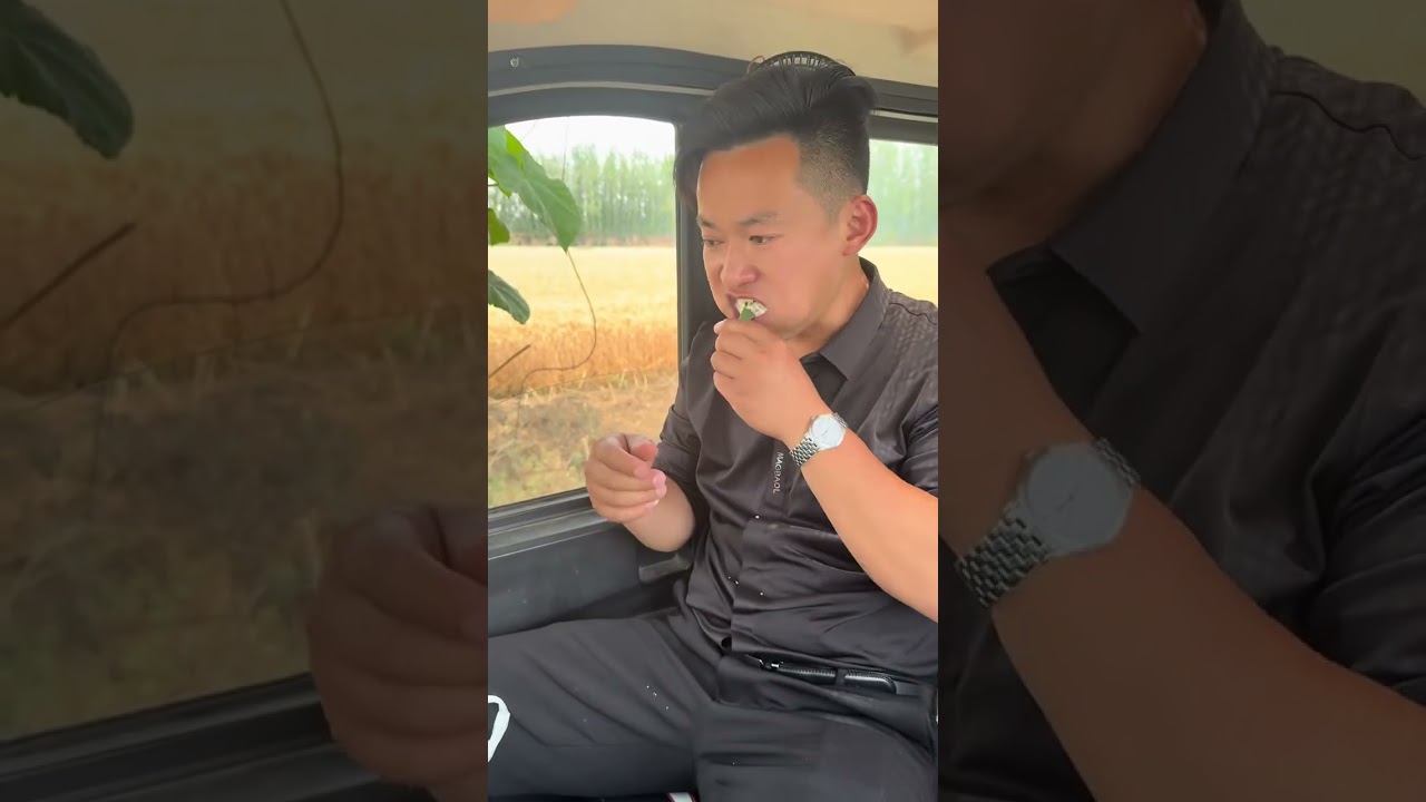 今天去找婆婆说没馍了，婆婆说让变成精买，顺便在买个烤鸭给我吃，结果……#我的农村生活 #新农人计划2025#你们也有这样的婆婆吗 #结果出乎意料