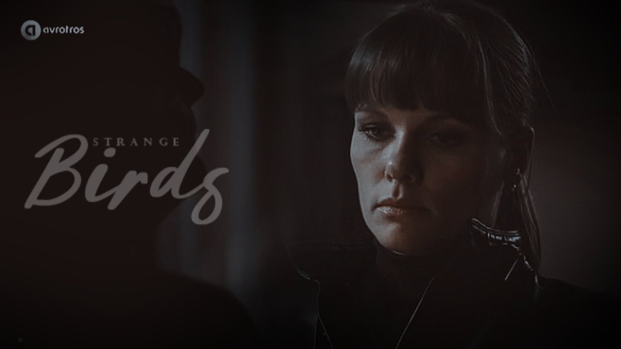 Eva & Floris - Strange Birds