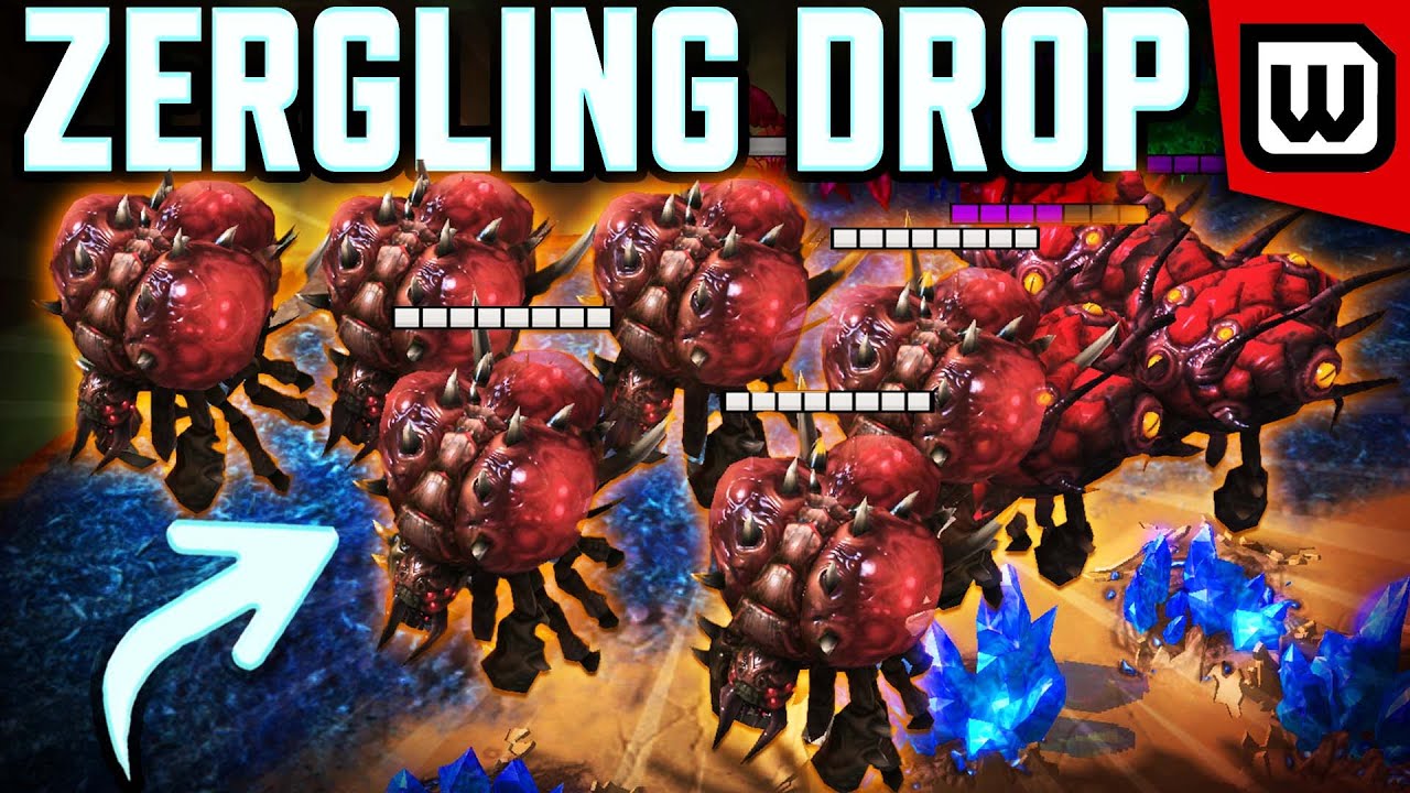 Dark won't stop Zerg rushing herO - StarCraft 2 Finals