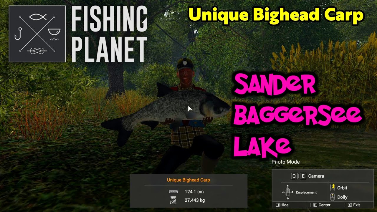 Unique Bighead Carp Sander Baggersee Lake - Fishing Planet