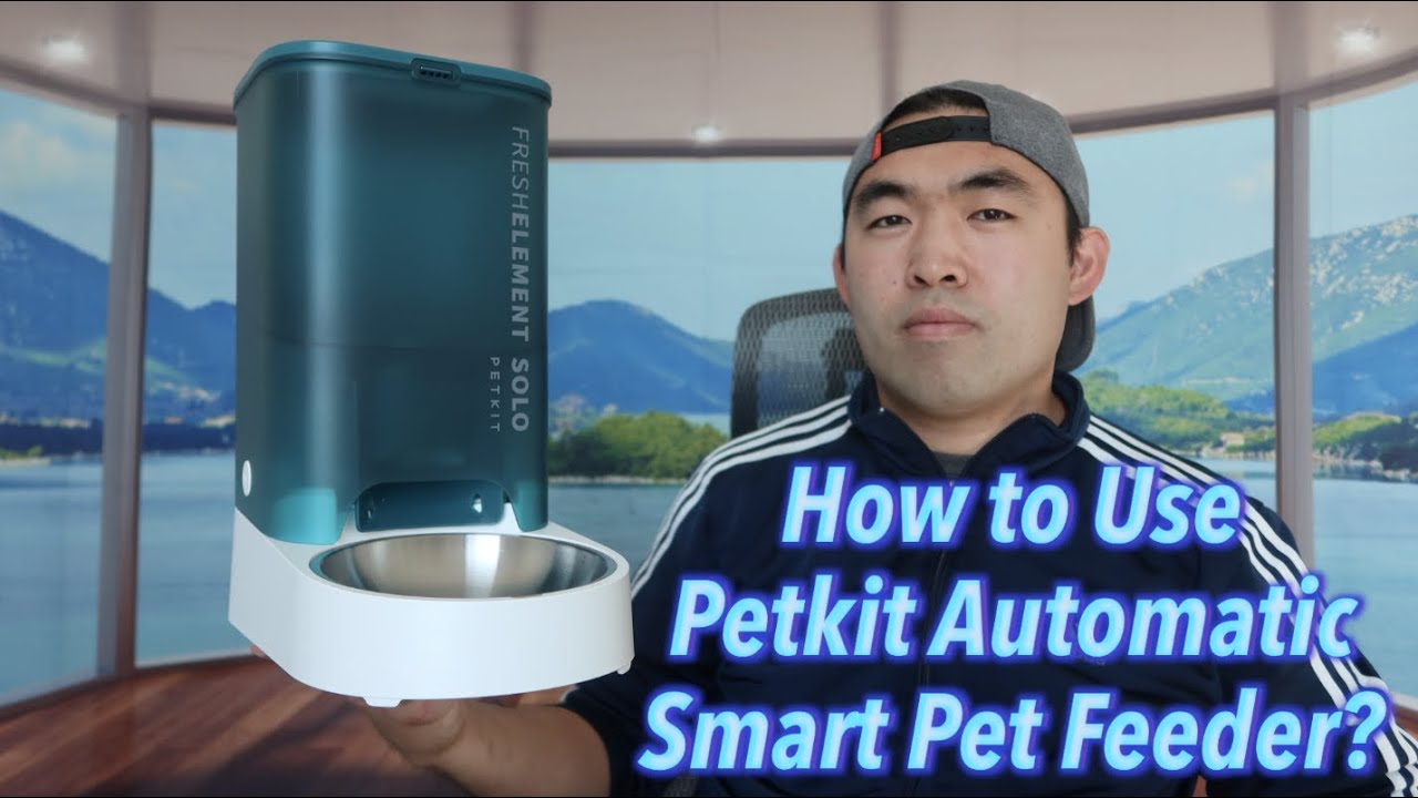 How to Use PETKIT Automatic Smart Pet Feeder?
