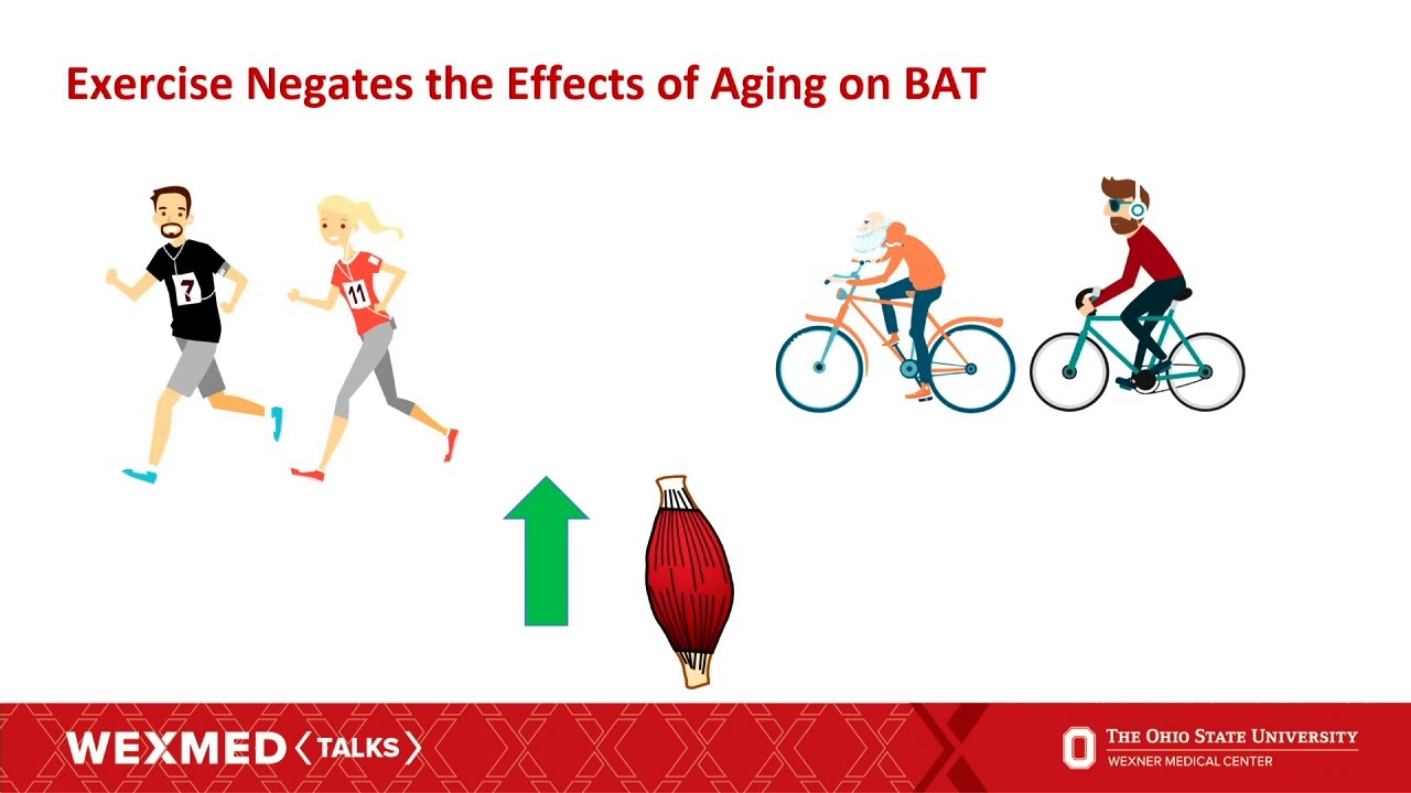 The previously unexplored benefits of exercise | Ohio State Medical Center