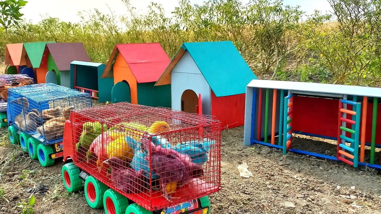 Waow Keren....?? Truk Gandeng Angkut Buaya, Kerbau, Bebek, Ayam Warna Warni, Kucing, Anjing Dan Sapi