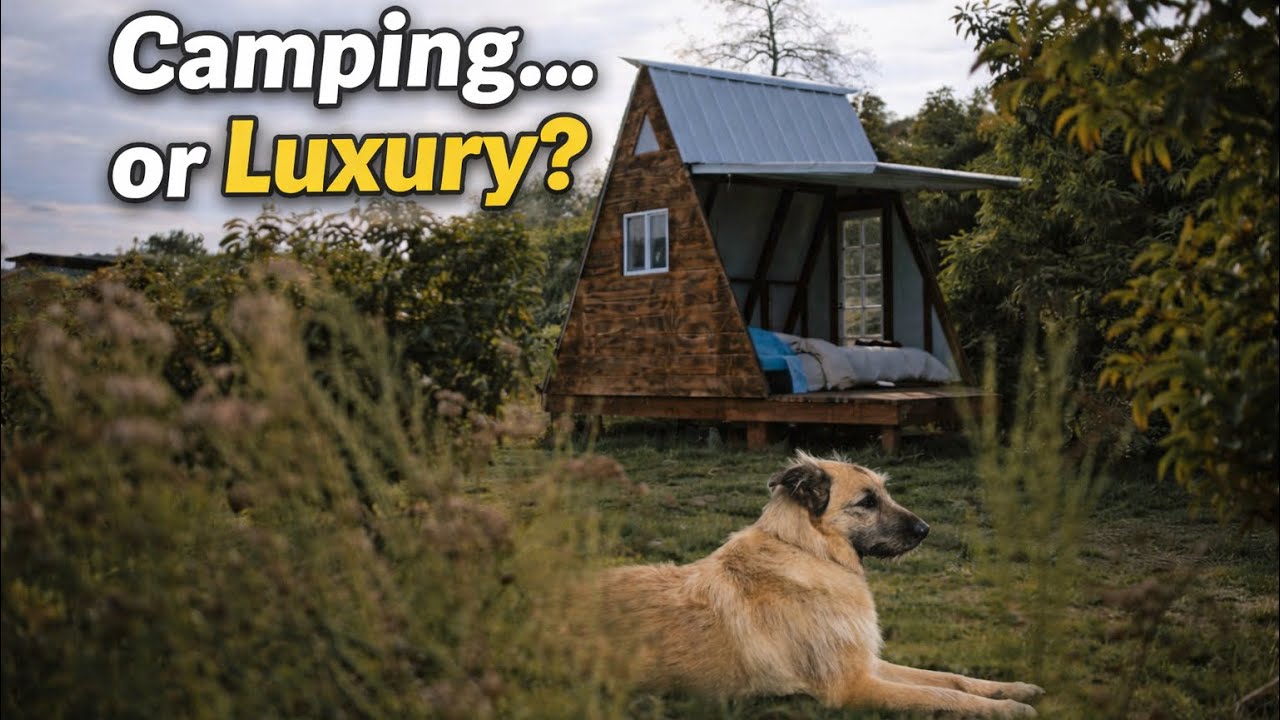Camping or Glamping? 🍕🔥 Cozy Cabin with Wood-Fired Pizza | Family Trip