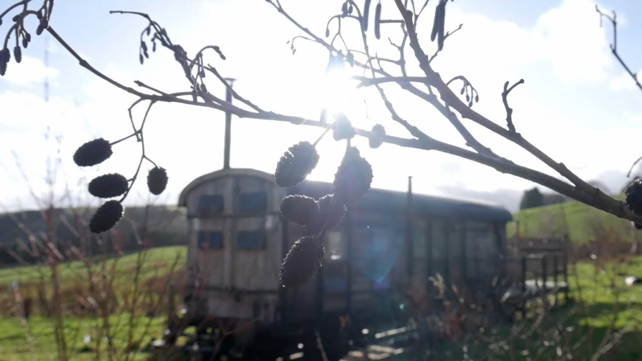Converted Vintage Train Carriage, Walks in the Welsh Countryside and a Wood Fired Hot Tub.