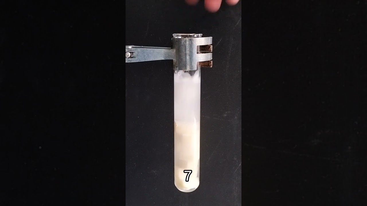 Hydrogen Peroxide vs Potato? | Catalase Enzyme Catalysts