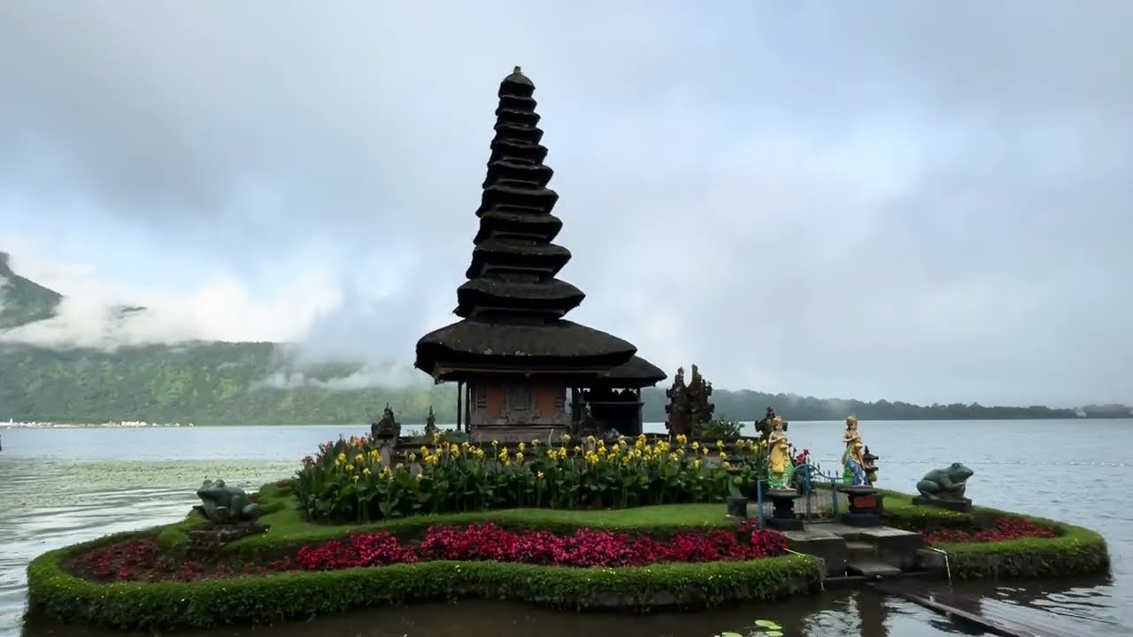 Balivlog2