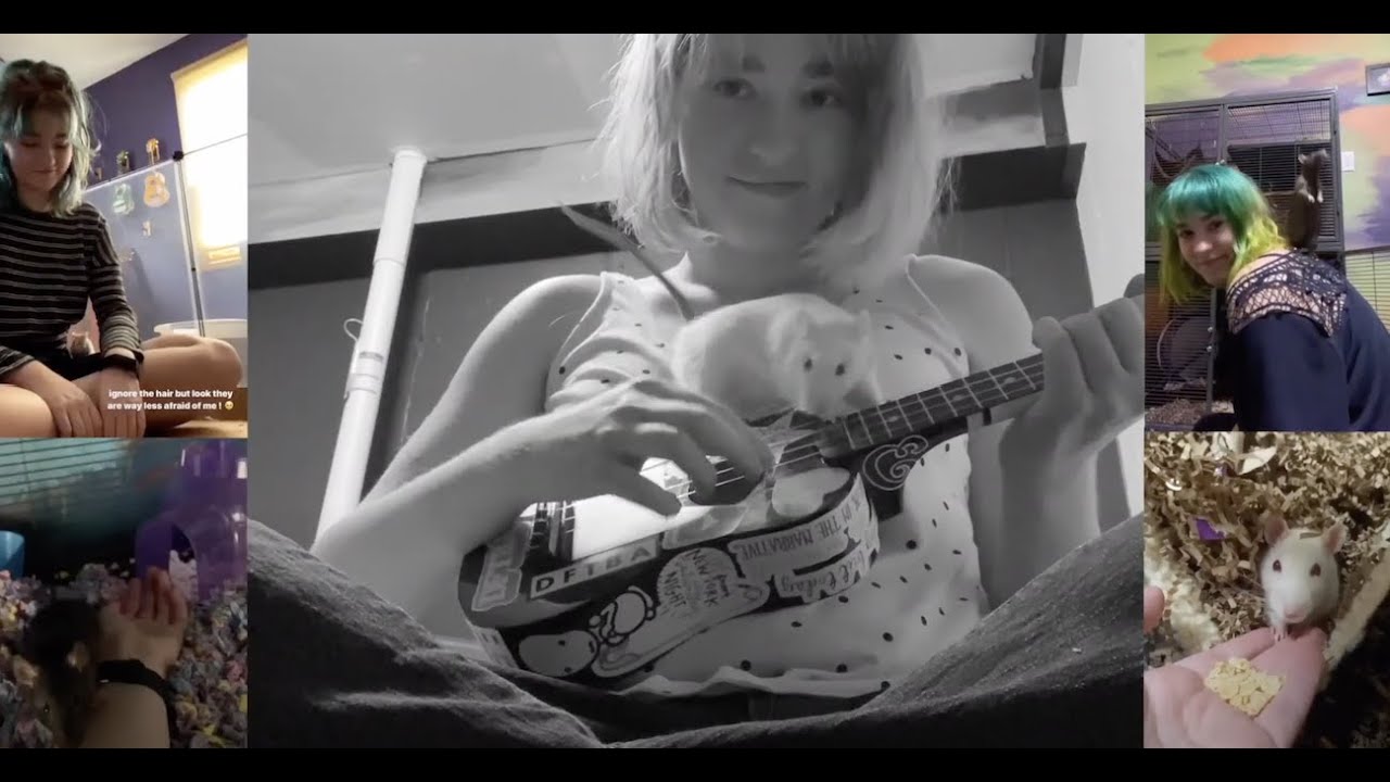 For the Rats (Original Song)